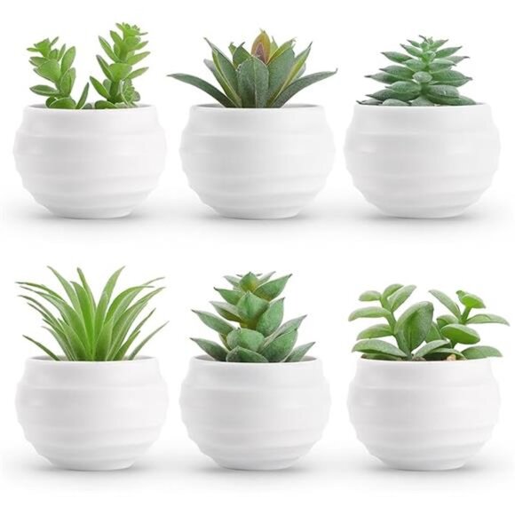 Set of 6 Succulents Plants Artificial in Pots Fake Plants Home Decor - Picture 2 of 3